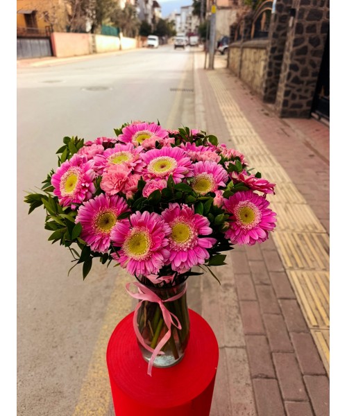 Pembe Zarafet Aranjmanı